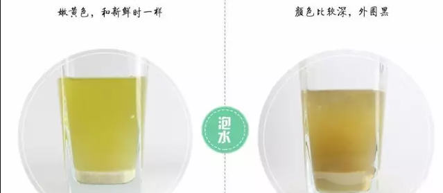冻干三七与晒干三七的区别