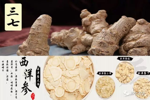 三七田七加西洋参的禁忌