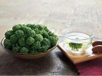 三七花相克食物及禁忌事项