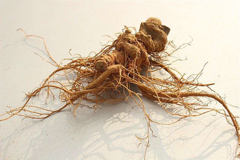 三七泡酒的配方