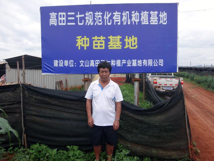 高田三七粉怎么样