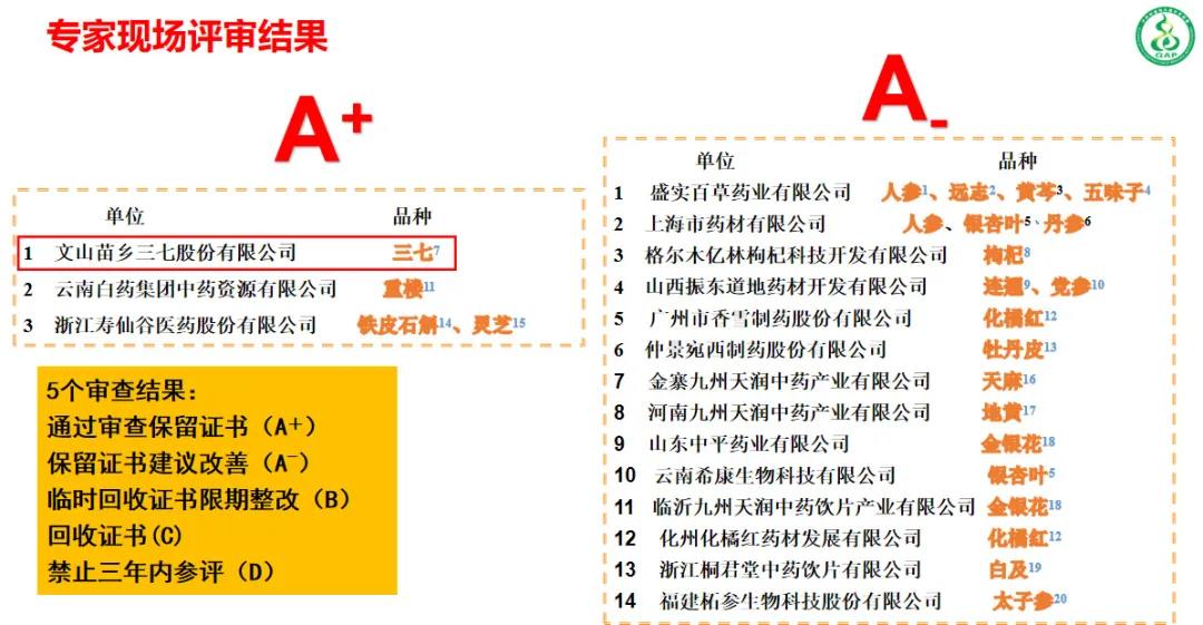 苗乡三七基地