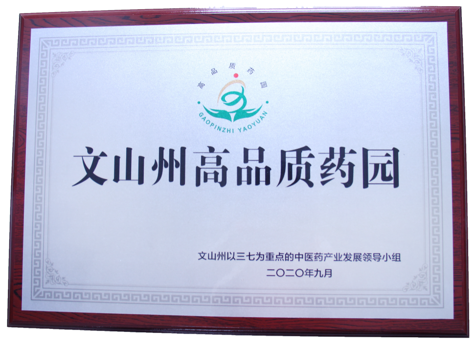 七丹药业三七种植基地被认定为“文山州高品质药园”