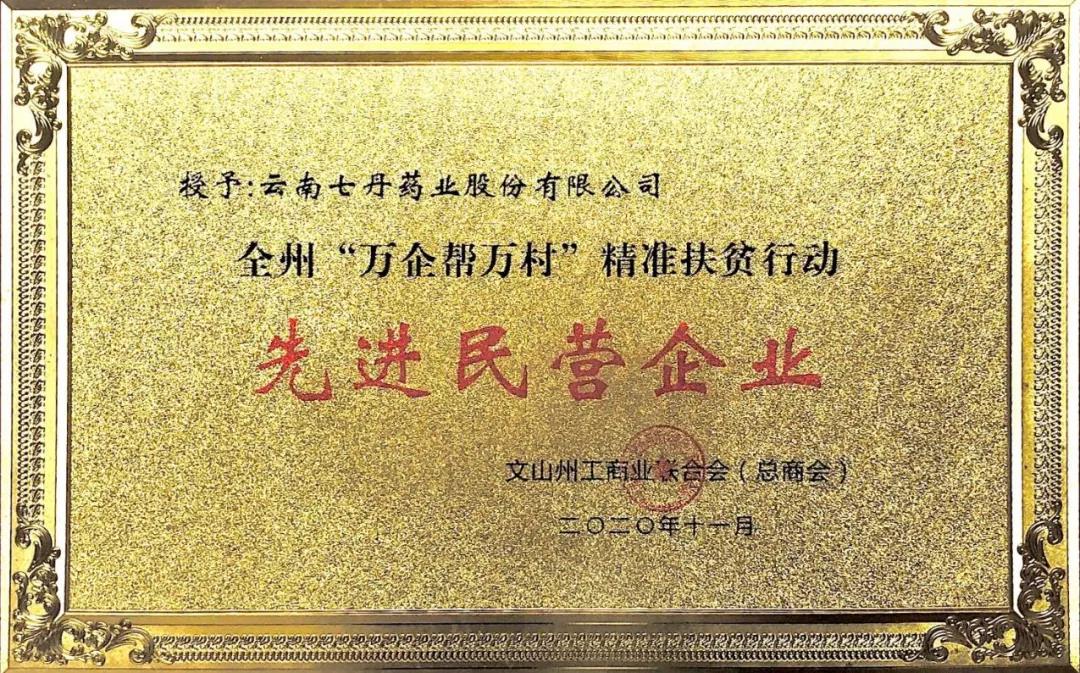 七丹药业被授予文山州“万企帮万村”精准扶贫行动先进民营企业