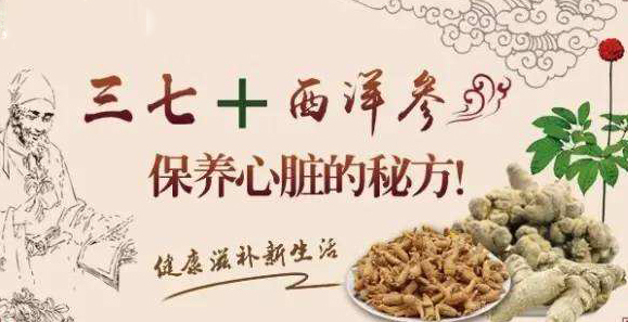 服用三七粉的经典养生组方