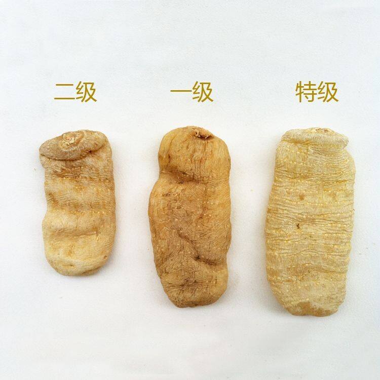 云南昭通小草坝天麻价格多少钱一斤