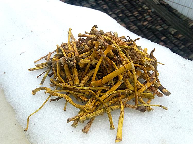 铜皮石斛价格多少钱一斤
