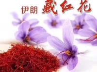 伊朗藏红花价格多少钱一克