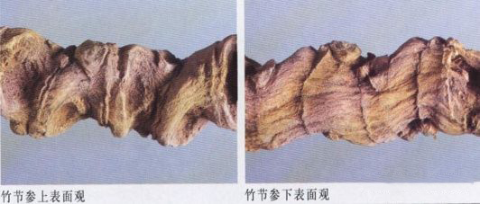 竹节参干货多少钱一斤