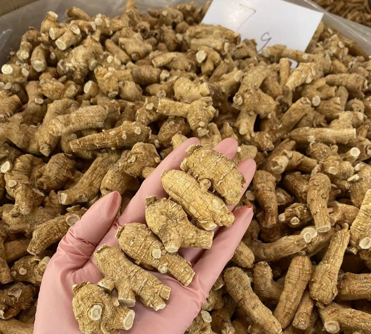 西洋参价格多少钱一斤
