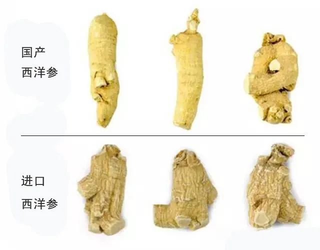 西洋参价格多少钱一斤