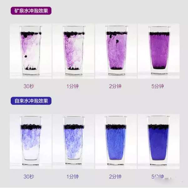 黑枸杞怎么泡才正确,一次放多少?