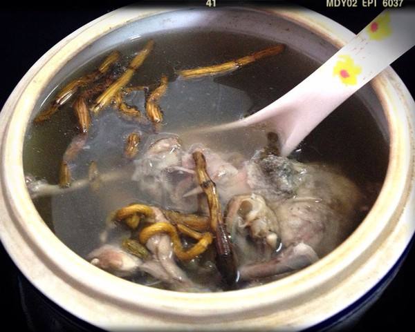 石斛吃法的十种搭配让药用价值倍增！