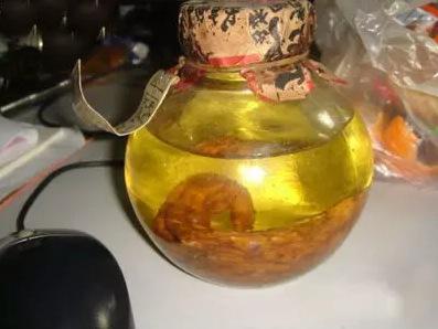 参茸天麻酒