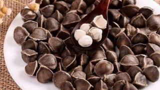 辣木籽饭前吃还是饭后吃？该怎么吃好？