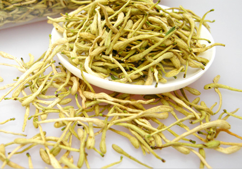 新鲜金银花茶怎么泡