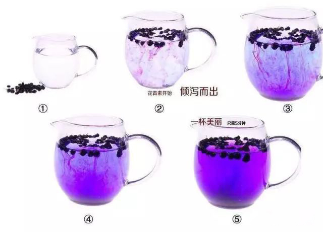 黑枸杞怎么吃效果最好？泡水喝水温多少最好？
