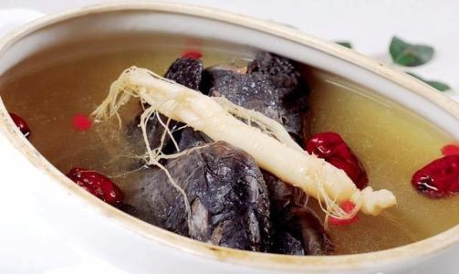 人参的最佳进补时间