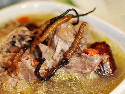 冬虫夏草怎么吃效果最好