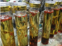 人参泡酒的最佳配方