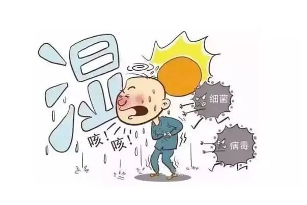 土茯苓跟什么搭配煲汤去湿气好