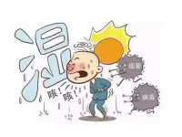 土茯苓跟什么搭配煲汤去湿气好
