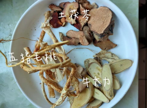 五指毛桃煲汤的最佳配方