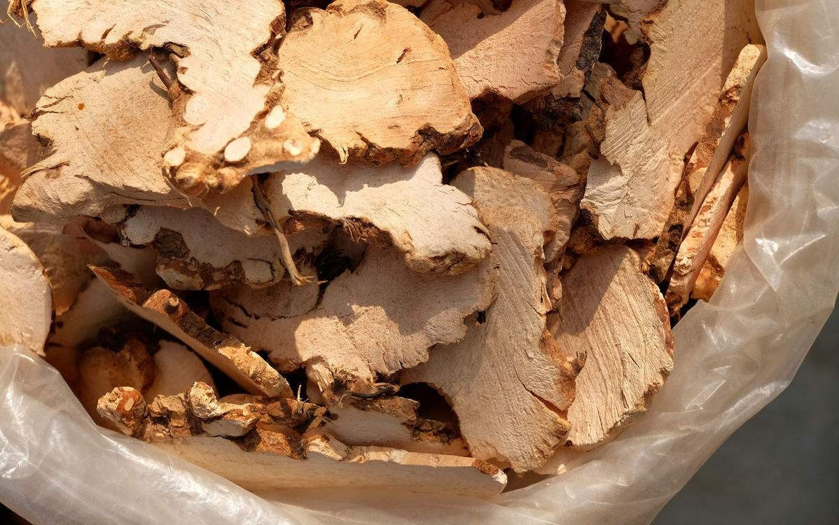 土茯苓可以泡水喝吗