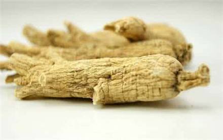 花旗参的四大核心功效及适宜人群