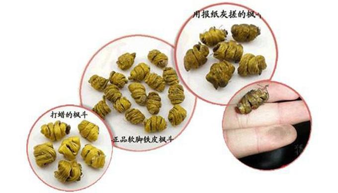 石斛铁皮枫斗的成分与功效详解