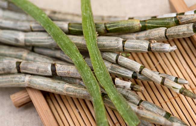 铁皮石斛煲鸽子汤的功效与作用及食用方法