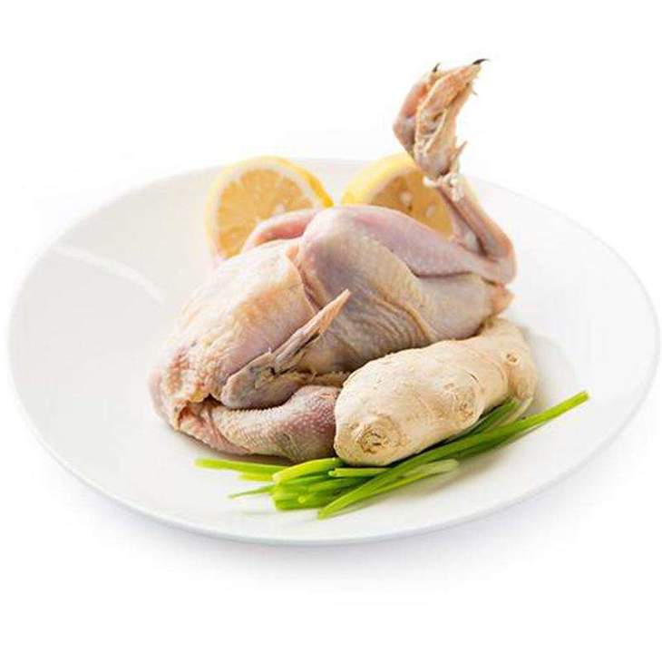 铁皮石斛煲鸽子汤的功效与作用及食用方法