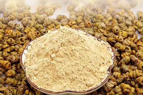 铁皮石斛粉的功效与作用有哪些？滋阴生津，延年益寿