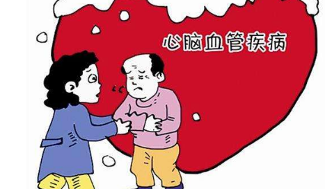 灵芝对心血管系统有哪些作用