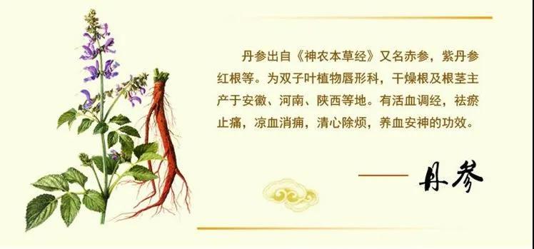 丹参的六大功效与作用及禁忌