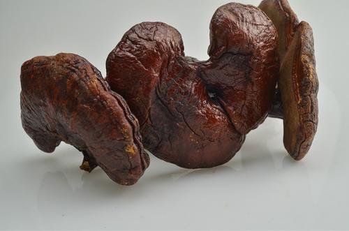 灵芝的十大药用功效