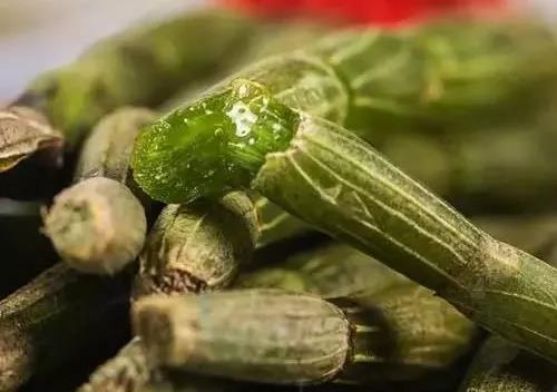 铁皮石斛加蜂蜜的功效及吃法