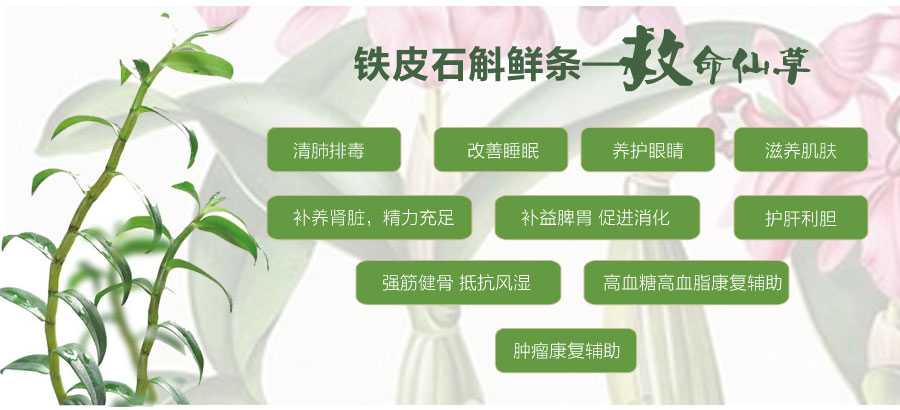 男人吃铁皮石斛有什么好处