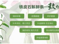男人吃铁皮石斛有什么好处