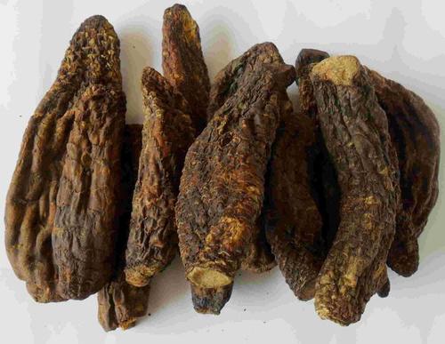 肉苁蓉的功能主治及用法用量