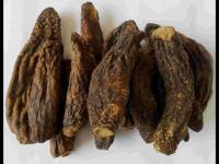 肉苁蓉的功能主治及用法用量