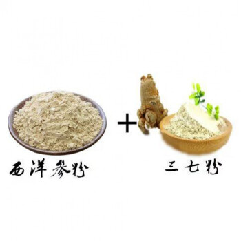 洋参三七粉的功效与作用
