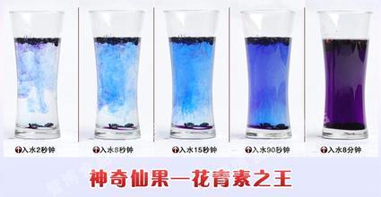 黑枸杞为什么会变色？黑枸杞用什么水泡最好？