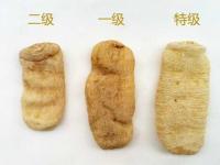 干天麻的四种等级划分标准