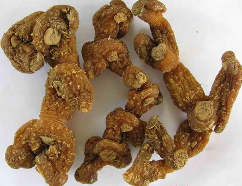 长期吃黄精能壮阳吗？有一定的效果