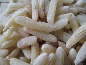 麦冬有消炎作用吗