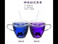 黑枸杞中的花青素是什么？