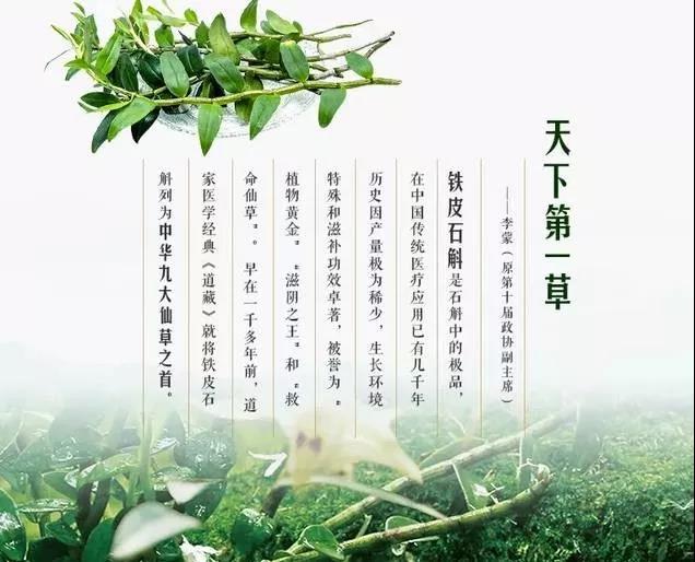 铁皮石斛能长期吃吗？长期吃铁皮石斛的5大好处