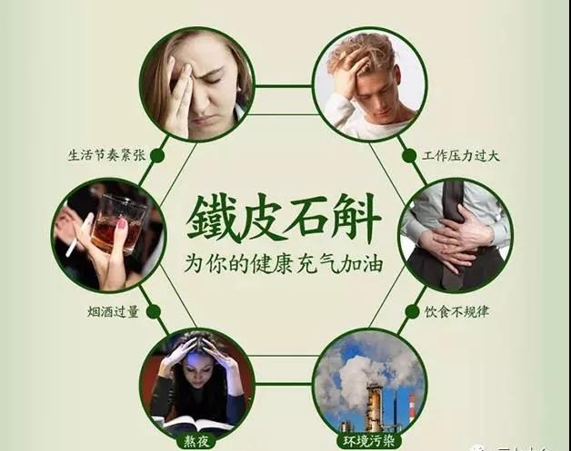 铁皮石斛能长期吃吗？长期吃铁皮石斛的5大好处