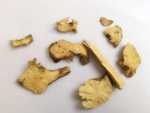什么是常山？详解中药材常山